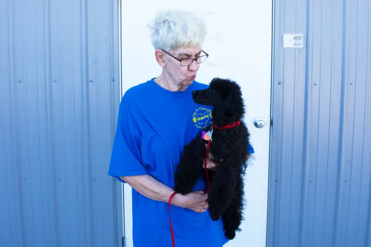 Dog Show Returns To St. Clairsville After A Decade